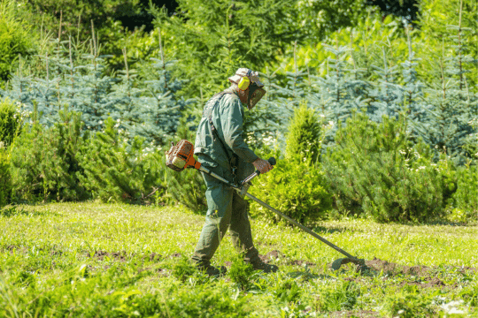 Jardinería y mantención de áreas verdes